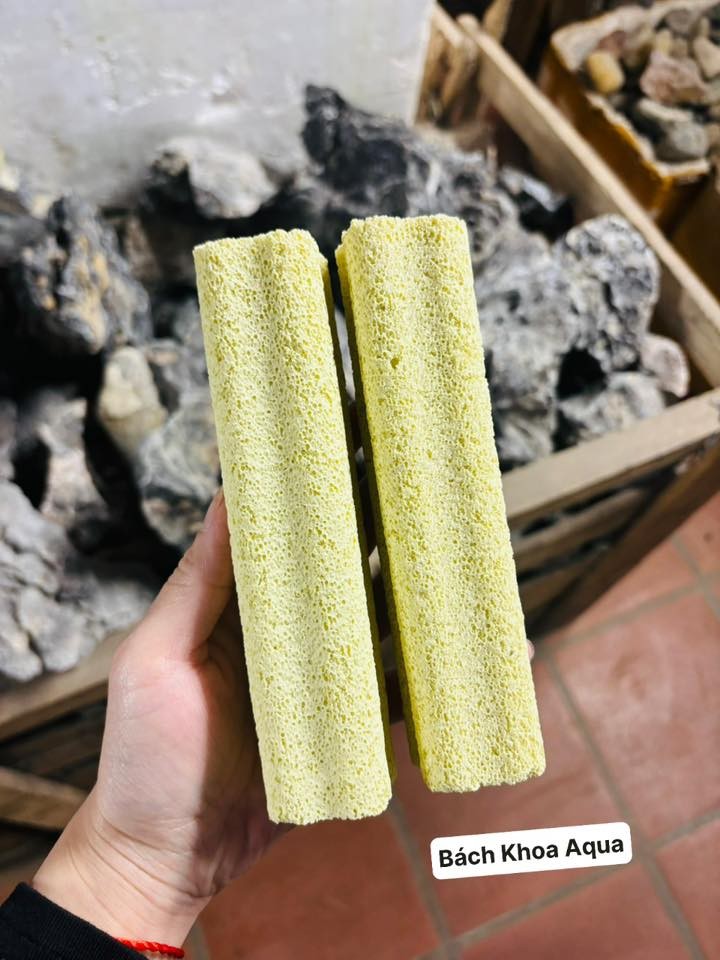 Sứ thanh Hoa Mai to 15*4cm / nhỏ 9*3cm